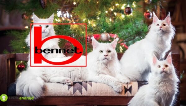 bennet