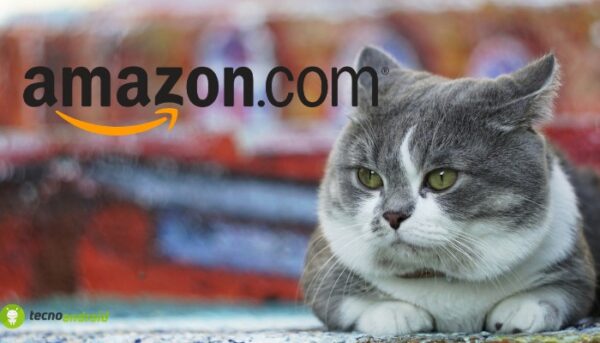 amazon