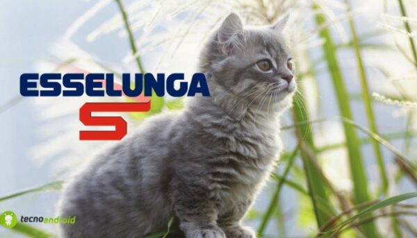 esselunga