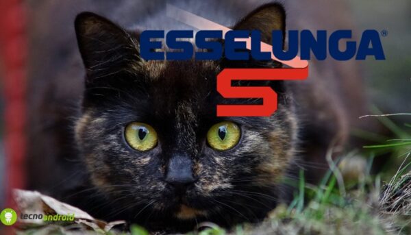 esselunga