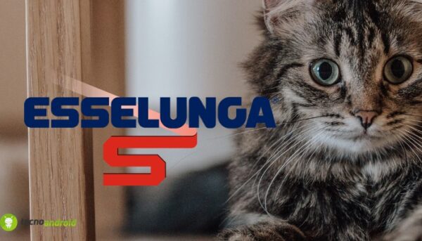 esselunga