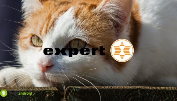 expert