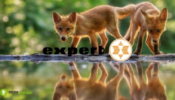 expert