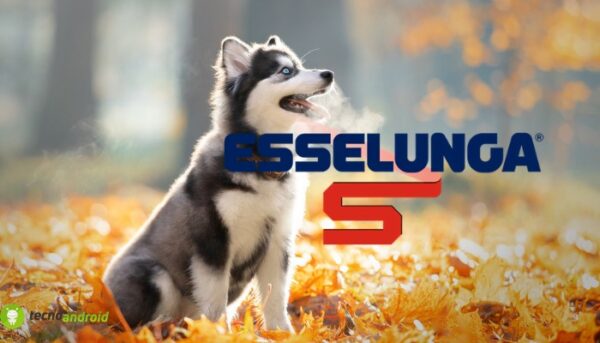 esselunga