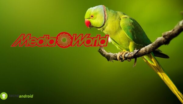 mediaworld
