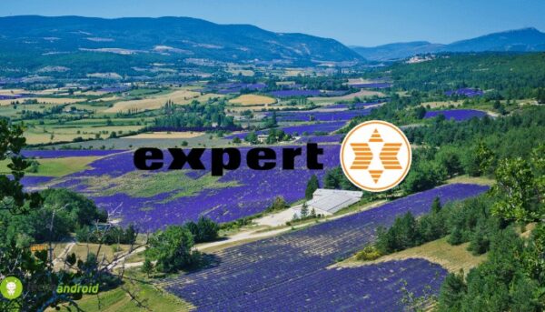 expert