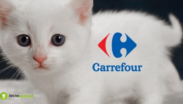 carrefour