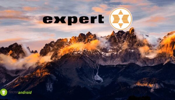 expert