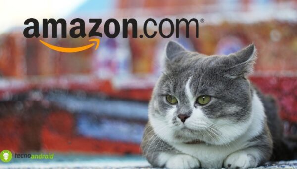 amazon