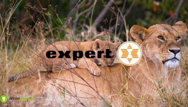 expert