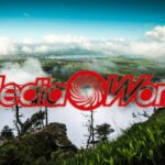 mediaworld