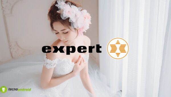 expert