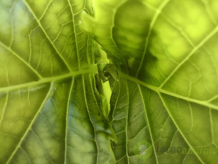 Fotocamera Find X3 Lite 5G 1