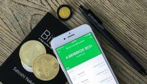 bitcoin-record-valore-crollo