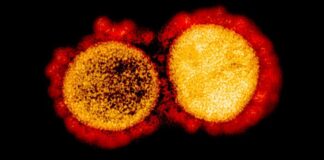 covid-19-varianti-coronavirus-triple-mutazioni