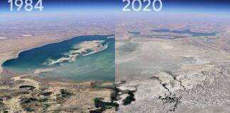 google-timelapse-terra-40-anni-funzione-earth