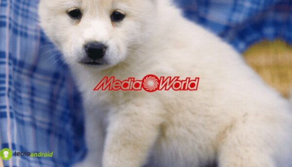 mediaworld