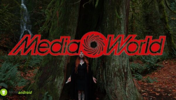 mediaworld