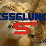 esselunga