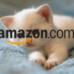 amazon