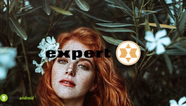 expert