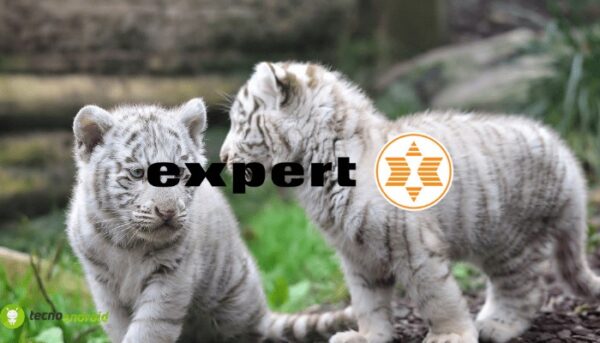 expert