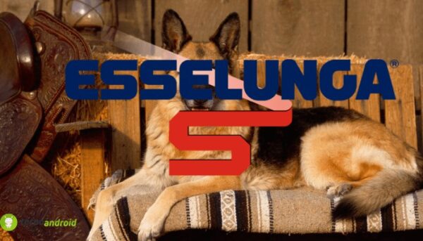 esselunga