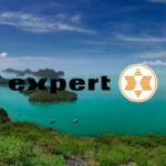 expert