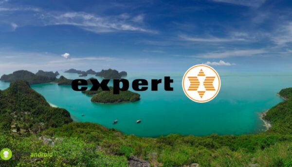 expert
