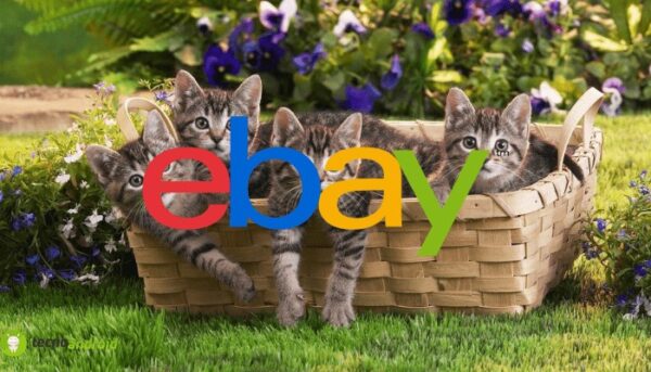 ebay