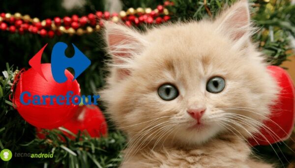 carrefour