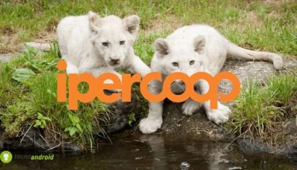 ipercoop, coop