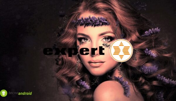 expert