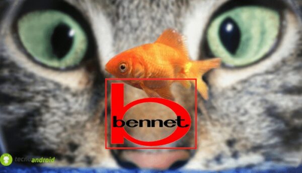 bennet