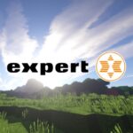 expert