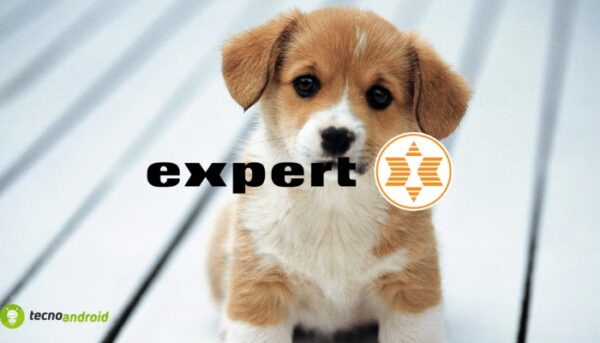 expert