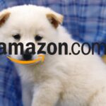 offerte amazon