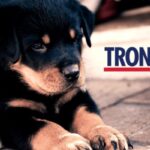 trony