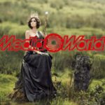mediaworld