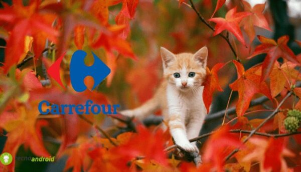 carrefour