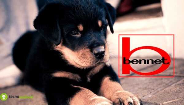 bennet