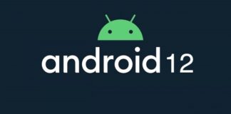 Google, Android 12, Beta 1