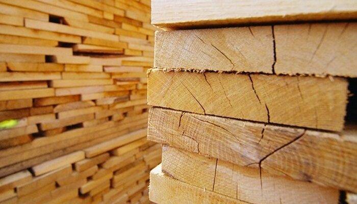 carenza-legno-mancanza-chip