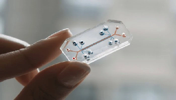 Polmoni su chip: il nuovo laboratorio per produrre farmaci anti-COVID
