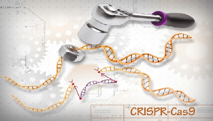 In arrivo un unico esame per eseguire diagnosi più precise, dai tumori ai virus