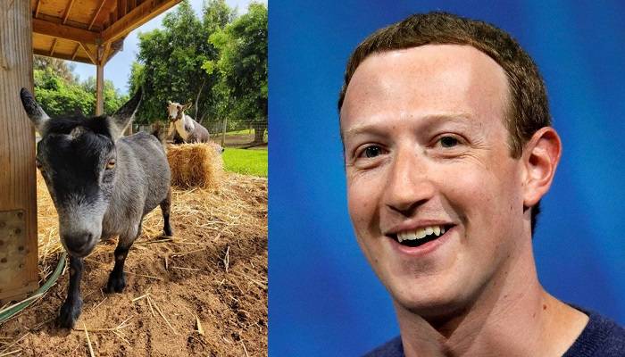 zuckerberg-capre-bitcoin-mark