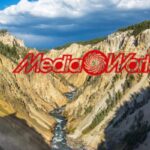 mediaworld