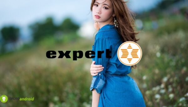 expert