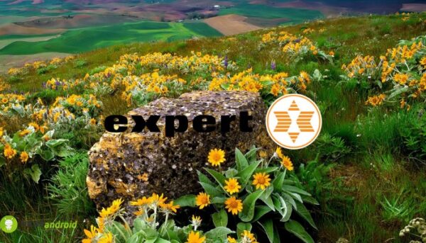 expert