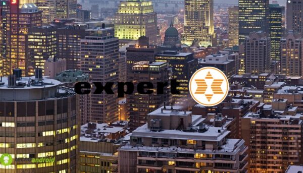 expert